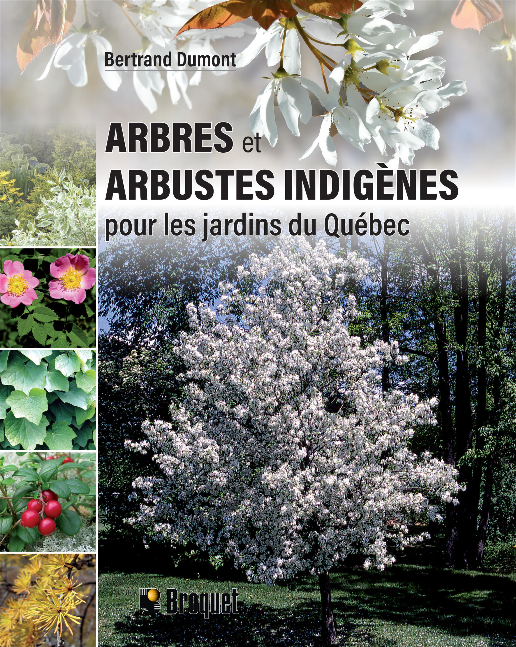 Arbres et arbustes indigènes pour les jardins du Québec